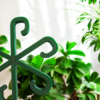 6891344954_fiksator-dlya-rastenij.png Фіксатор для рослин Plant Clip Star — тримач для стебел, пагонів, монстери, орхідей, фікуса та кімнатних рослин