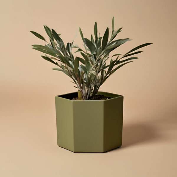 Кашпо HexPlanter Facet Pot — шестигранний горщик для рослин, сукулентів, кактусів, modern, scandi та japandi-інтер’єру