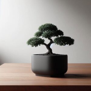 7030472166_kashpo-dlya-bonsaj.jpg Soft Harmony Planter — кашпо для бонсай, кімнатних рослин і декоративних дерев