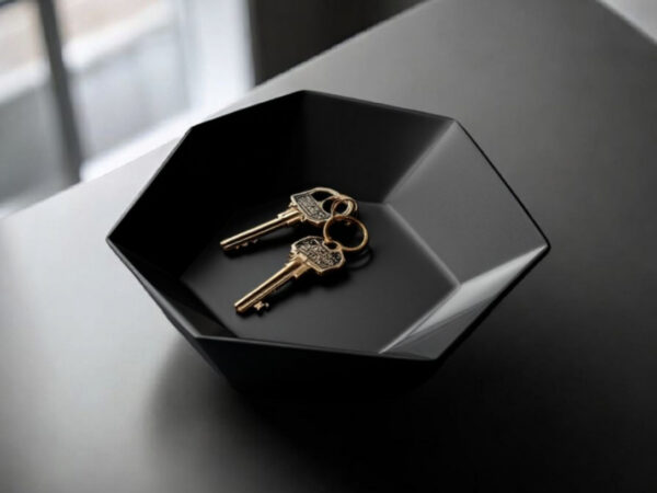Hexa Catch Tray — шестикутна тарілка-органайзер для ключів, прикрас та дрібниць