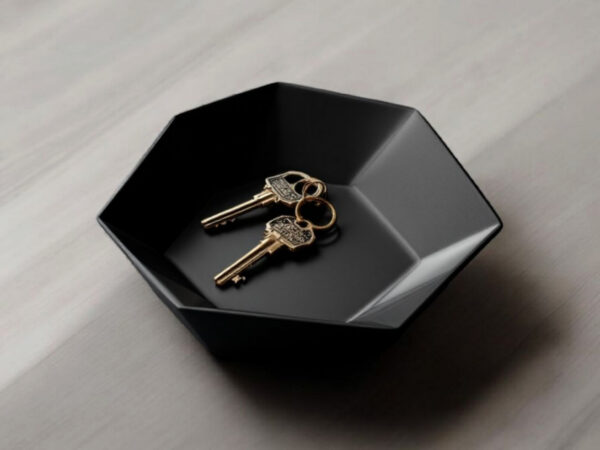 Hexa Catch Tray — шестикутна тарілка-органайзер для ключів, прикрас та дрібниць
