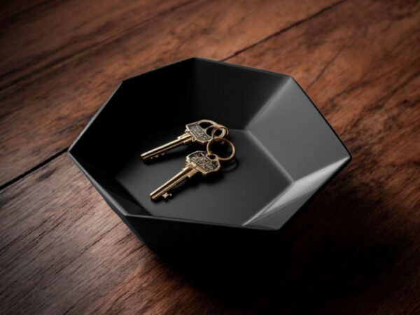 Hexa Catch Tray — шестикутна тарілка-органайзер для ключів, прикрас та дрібниць
