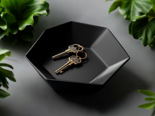 Hexa Catch Tray — шестикутна тарілка-органайзер для ключів, прикрас та дрібниць
