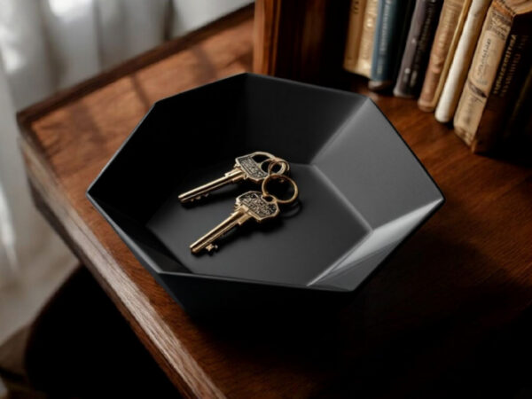 Hexa Catch Tray — шестикутна тарілка-органайзер для ключів, прикрас та дрібниць
